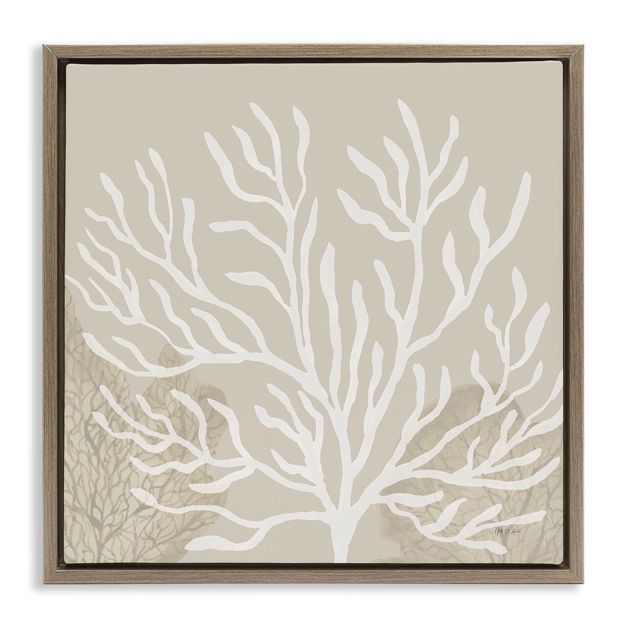 Stupell Industries Wide Coral Branches on Beige Floating Frame By Yvette St. Amant